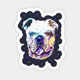 Buldog Face Pop Art Sticker